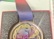 关于奖杯刻有211个FIFA成员协会和六个联盟名称的信息