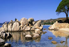 U19世锦赛-中国女排对阵日本取3连胜提前2轮进16强的简单介绍